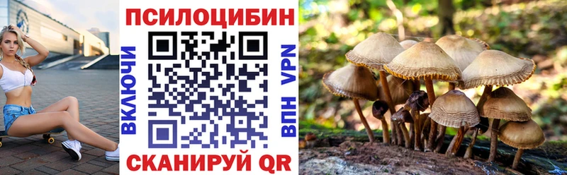 ОМГ ОМГ вход Нязепетровск Псилоцибиновые грибы мухоморы