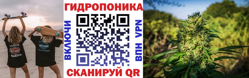Бошки марихуана сатива  сколько стоит  Нязепетровск 